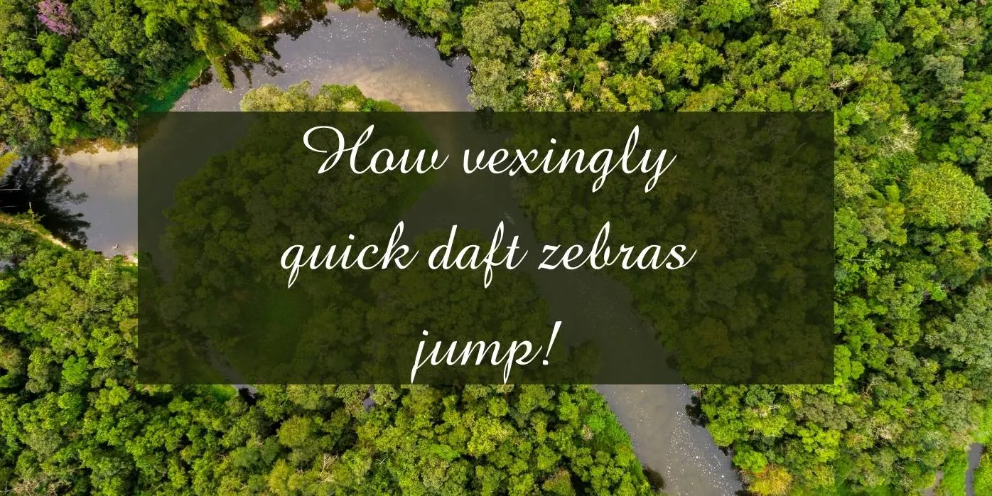 Amazone BT Font Preview