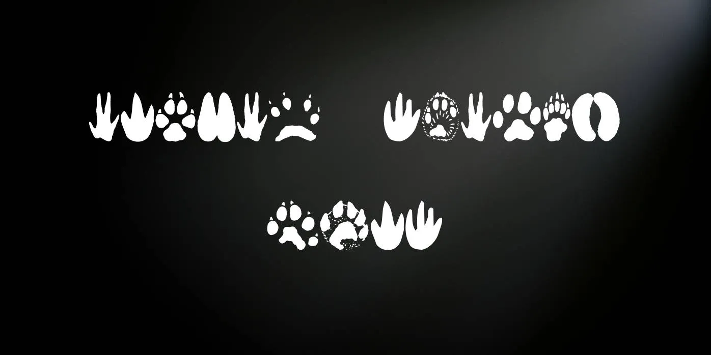 Animal Tracks Font