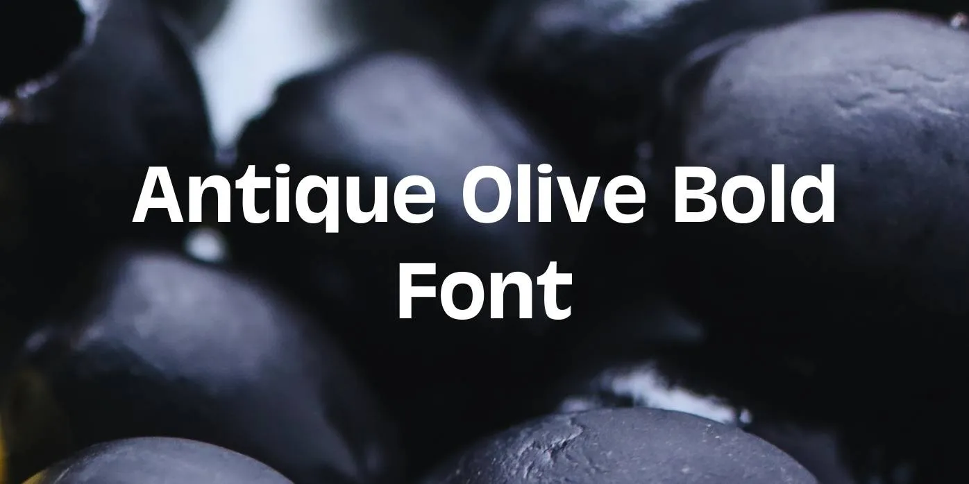 Antique Olive Bold Font
