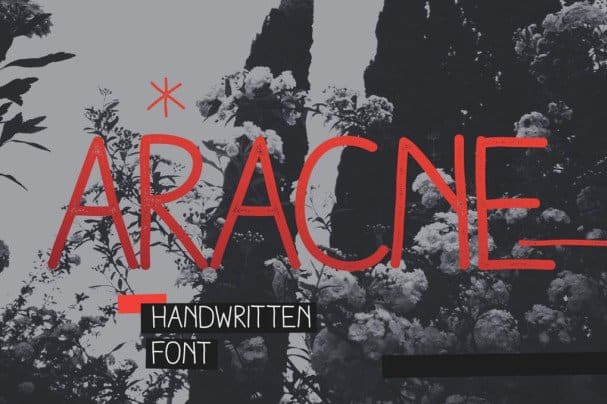Aracne Font