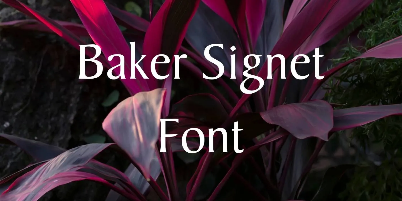 Baker Signet Font