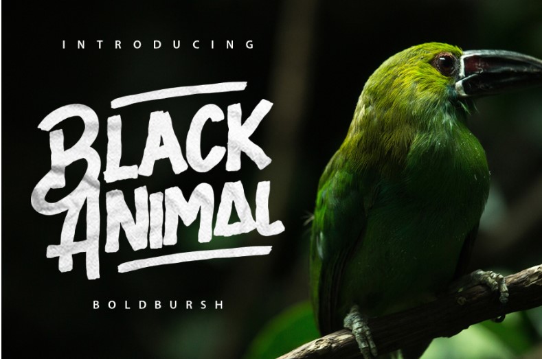 Black Animal Font