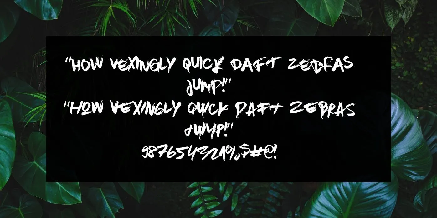 Brown Fox Font Preview