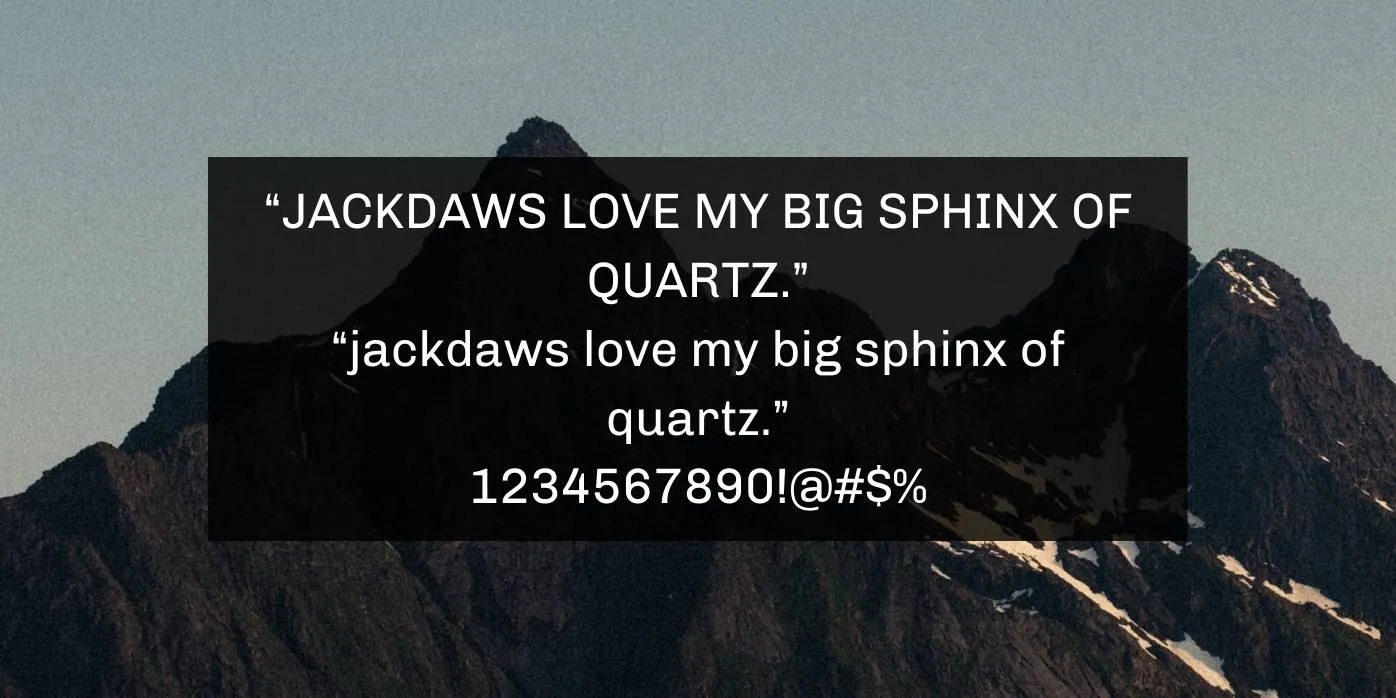 Chivo Font Preview