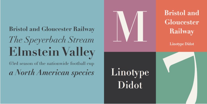 Didot Font