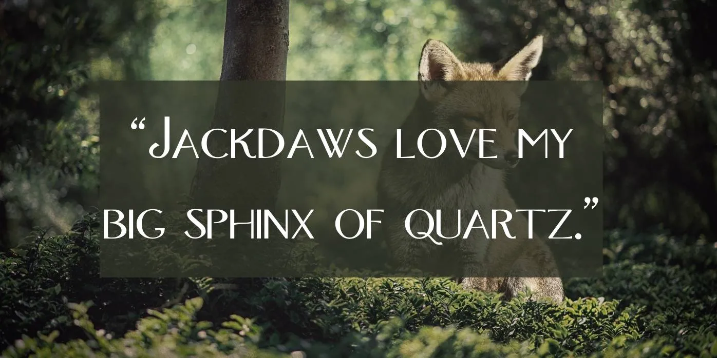 Fox Font Preview