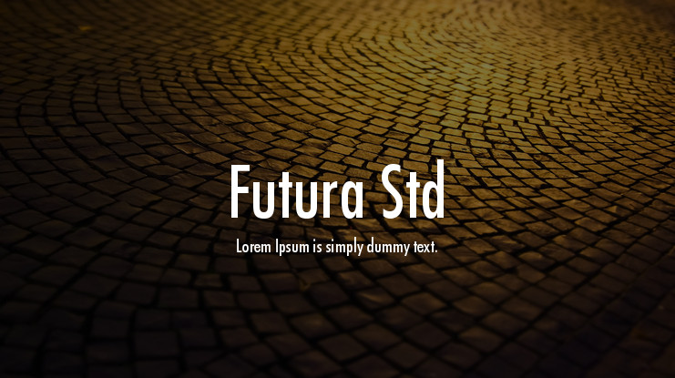 Futura Std Heavy Font
