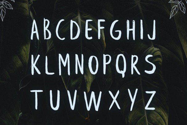 Leafy Brush Font Preview