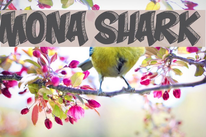 Mona Shark Font