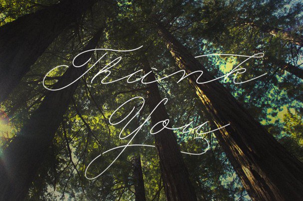 My Dear Script Font Preview