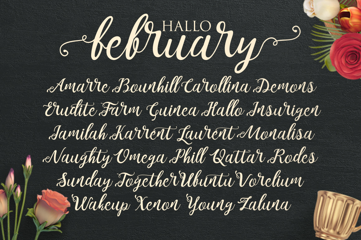 Noelan Script Font Preview
