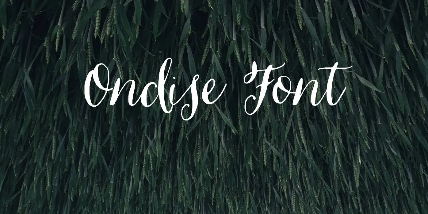 Ondise Font