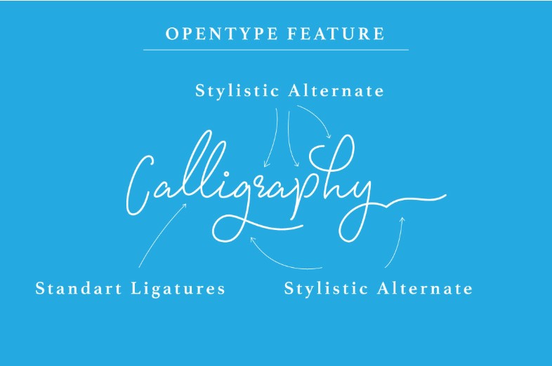 Signatura Monoline Script Font Preview