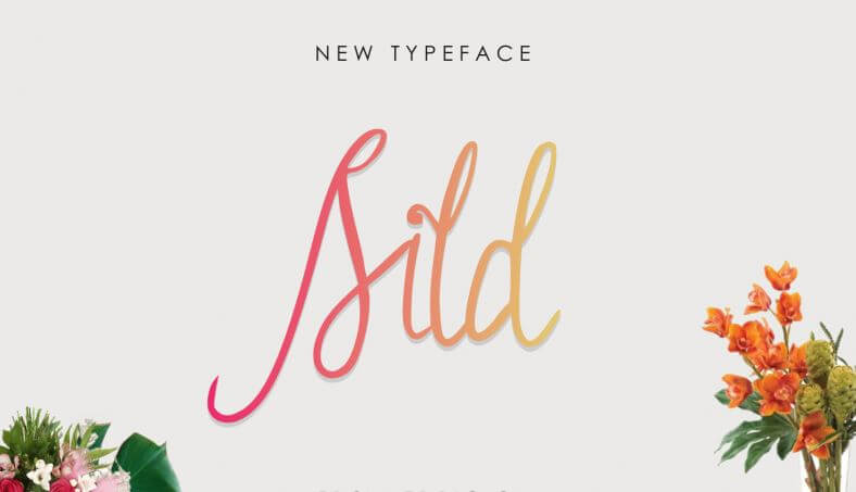 Sild Handwritten Font