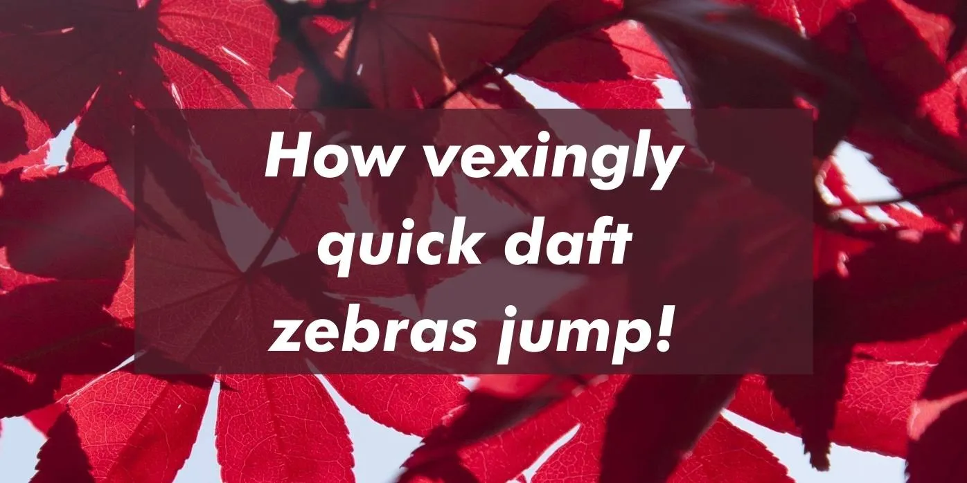 Supreme Font Preview