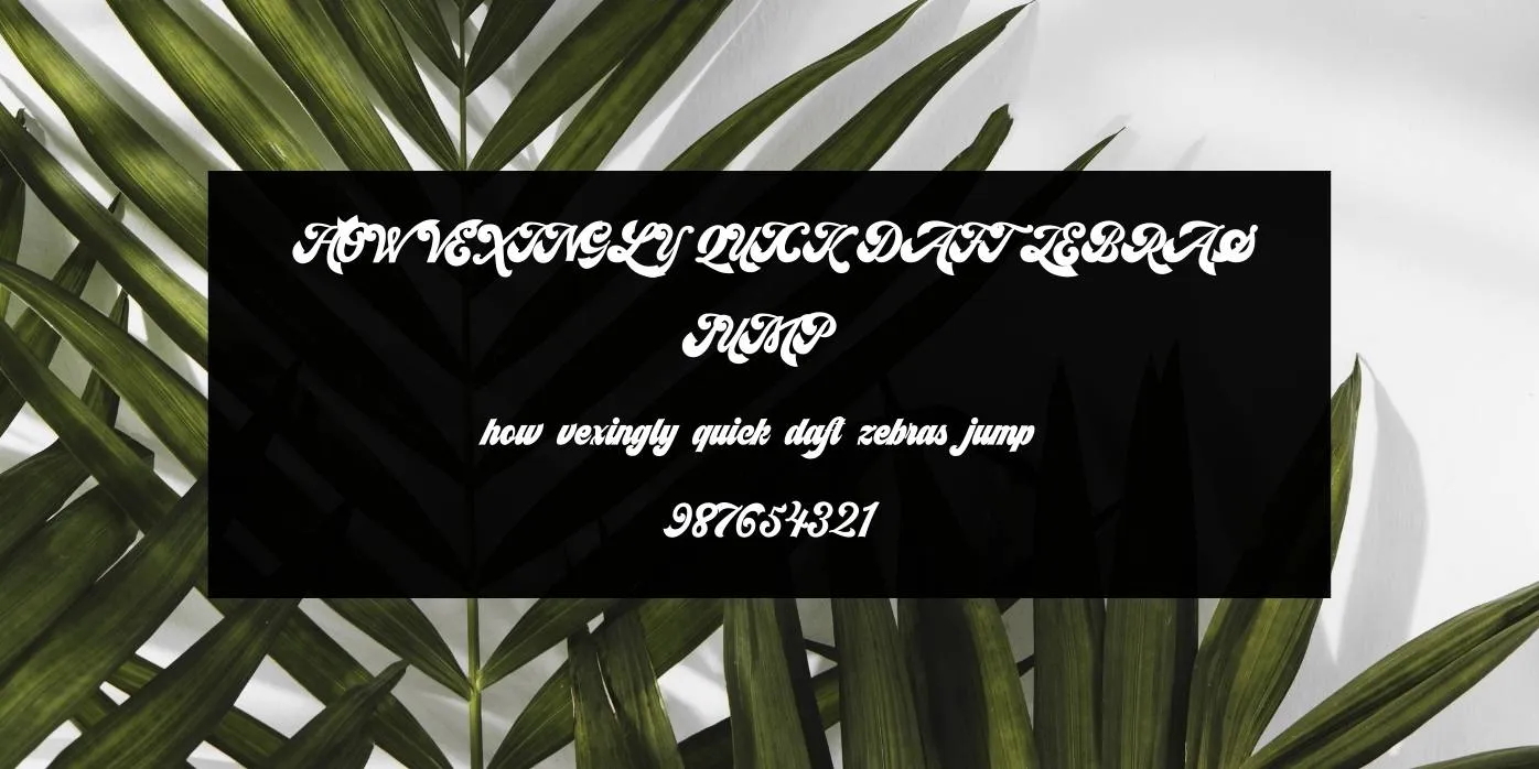 Syncro Script Font Preview