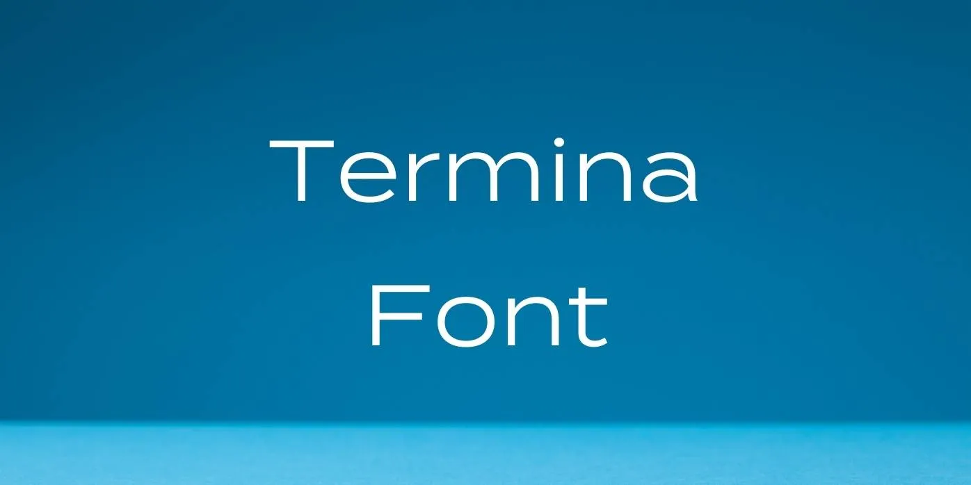 Termina Font