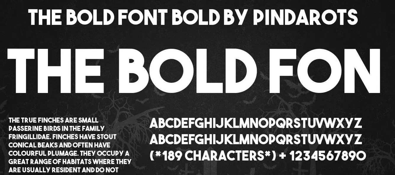 The Bold Font