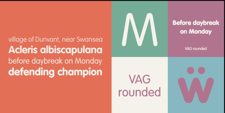 Vag Rounded Font