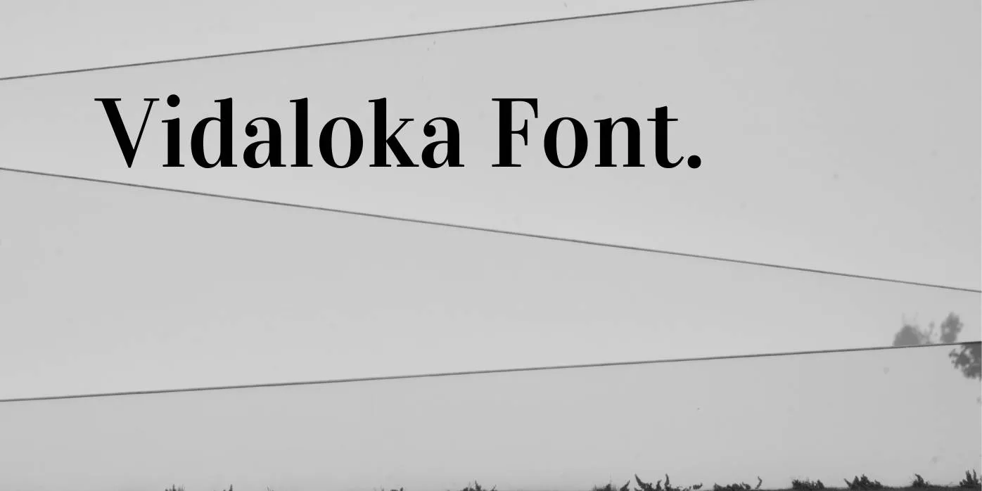 Vidaloka Font