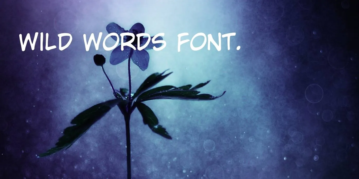 Wild Words Font