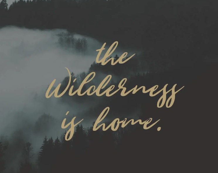 Wild Youth Font Preview