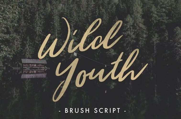 Wild Youth Font