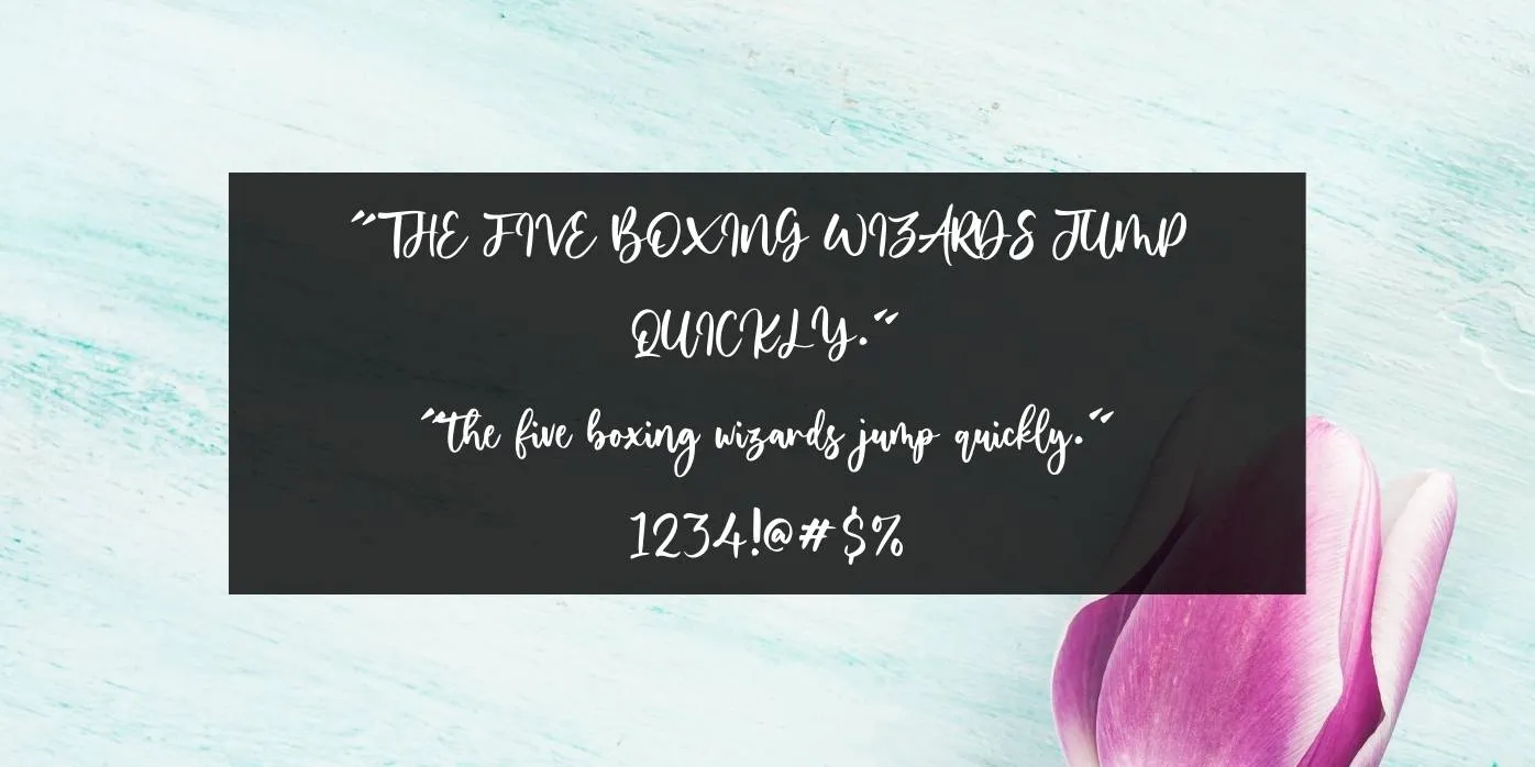 Yourladies Font Preview