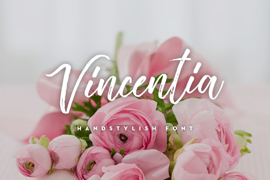 Vincentia Script Font Free Download