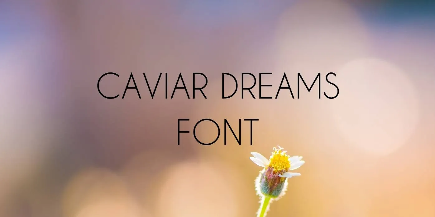Caviar Dreams Font Free Download