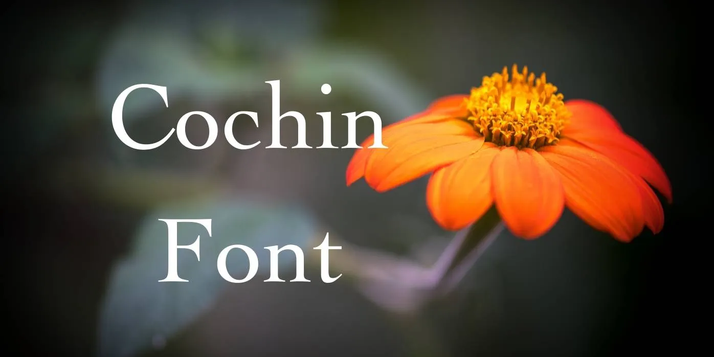 Cochin Font Free download