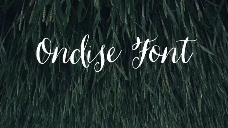 Ondise Font Free Download
