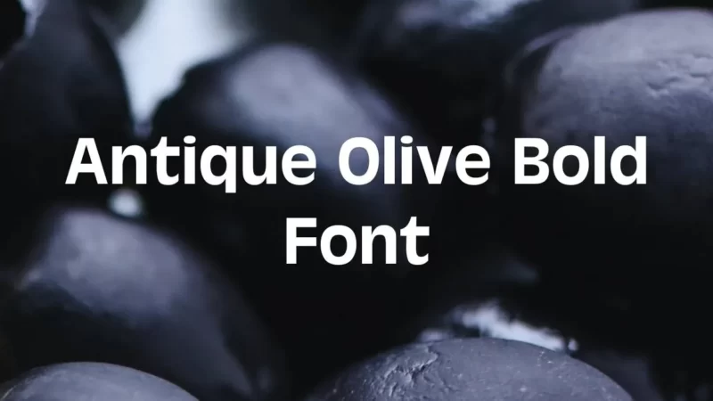 Antique Olive Bold Font Free Download
