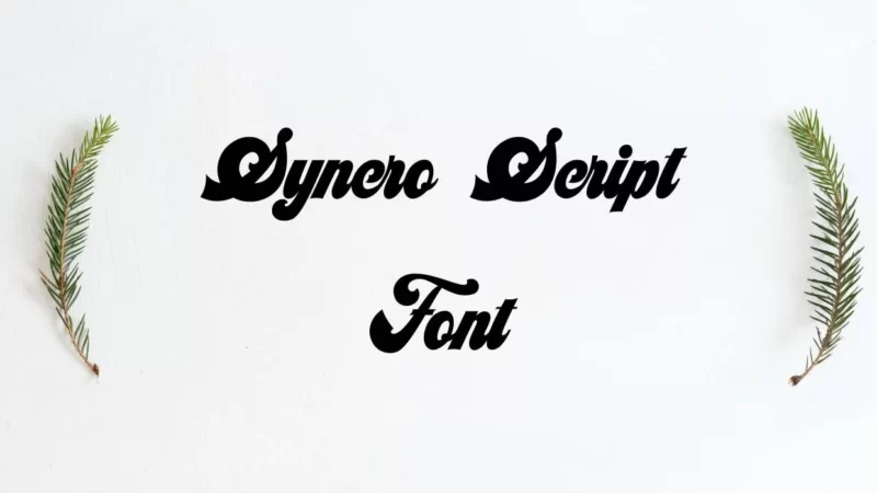 Syncro Script Font Free Download