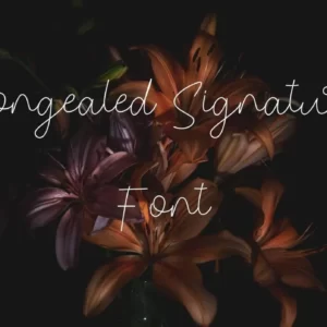 Congealed Signature Font Free Download